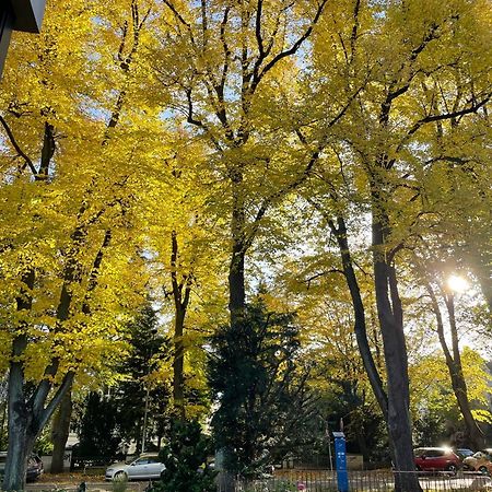 لوبيك Aparthotel Stadtpark المظهر الخارجي الصورة