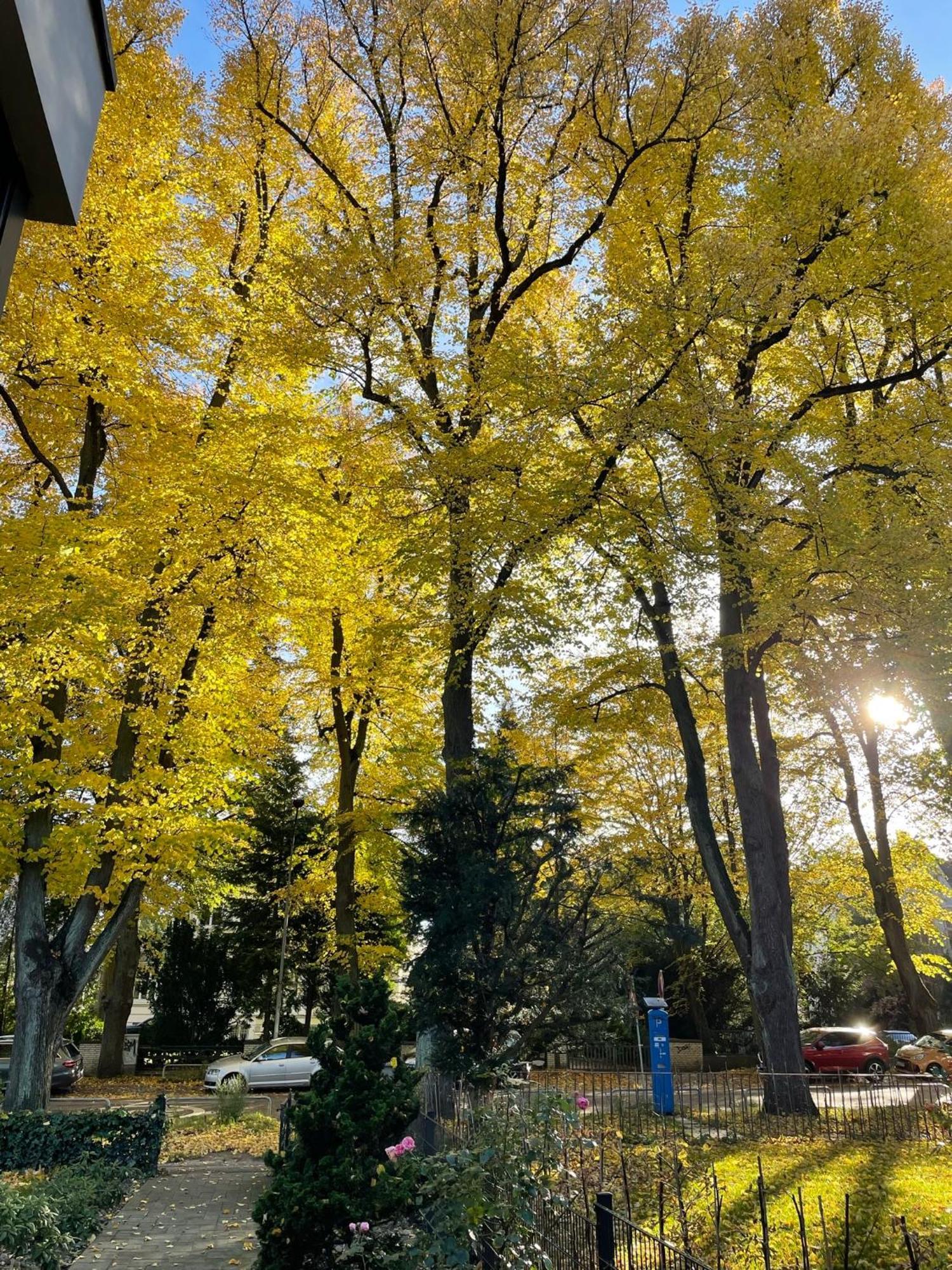 لوبيك Aparthotel Stadtpark المظهر الخارجي الصورة